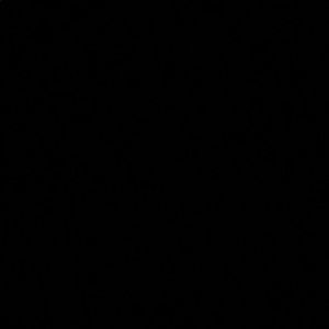 Meet your Posher, Jen